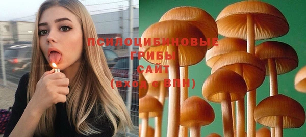 тгк Киреевск
