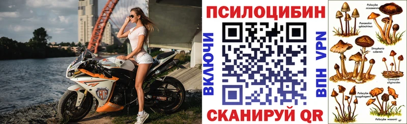 что такое   Дзержинск  Псилоцибиновые грибы Magic Shrooms 